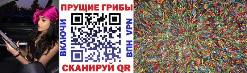 Галлюциногенные грибы GOLDEN TEACHER  Лукоянов 